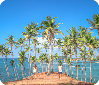 Dambulla Cave Temple